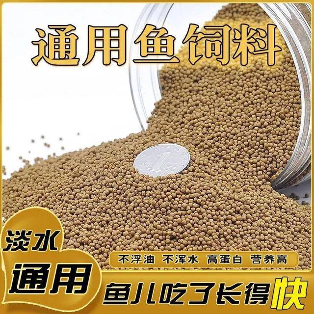 养鱼必备！开口料鱼饲料大揭秘让你的鱼儿健康成长！